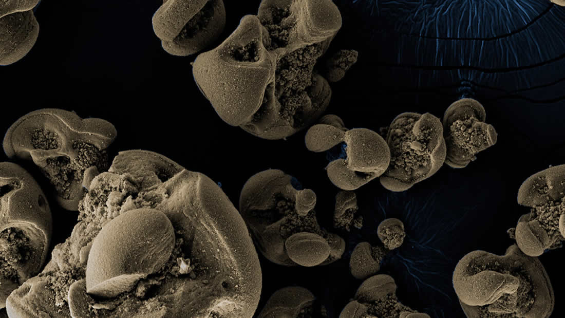 Bacterias recientemente descubiertas pueden comer metal como alimento