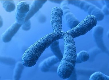 Científicos secuencian completamente un cromosoma humano por primera vez