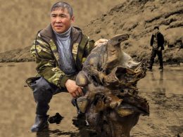 Mamut bien conservado con músculos intactos es hallado en lago de Siberia