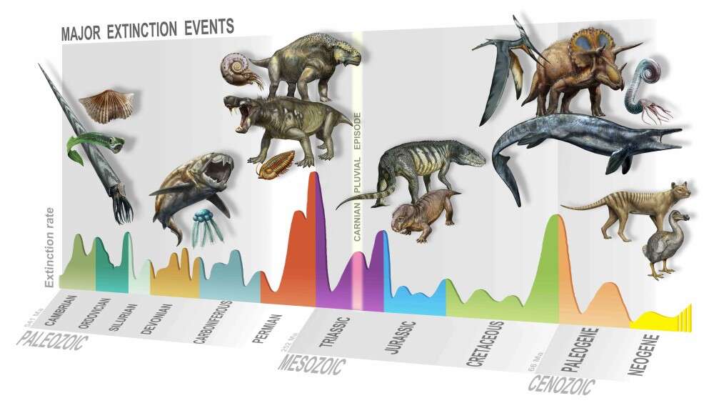 Descubre el evento de extinción masiva que provocó la era de los dinosaurios