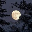 EN VIVO: Última Luna llena del 2020