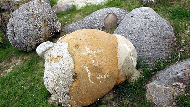 Las misteriosas "piedras vivientes" en Rumania son fantásticas y totalmente reales