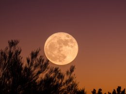 Esta semana podrás ver la primera luna llena de 2021