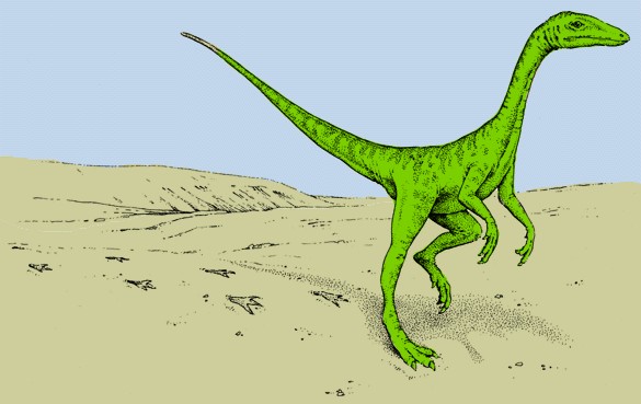 Huella de dinosaurio de 220 millones de años es hallada por niña de 4 años