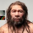 Investigadores crean "mini cerebros" neandertales alterando un solo gen humano
