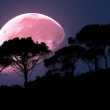 Superluna rosa iluminará la noche de este lunes 26 de abril