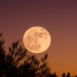 La última Luna llena del 2021 ocurrirá este fin de semana