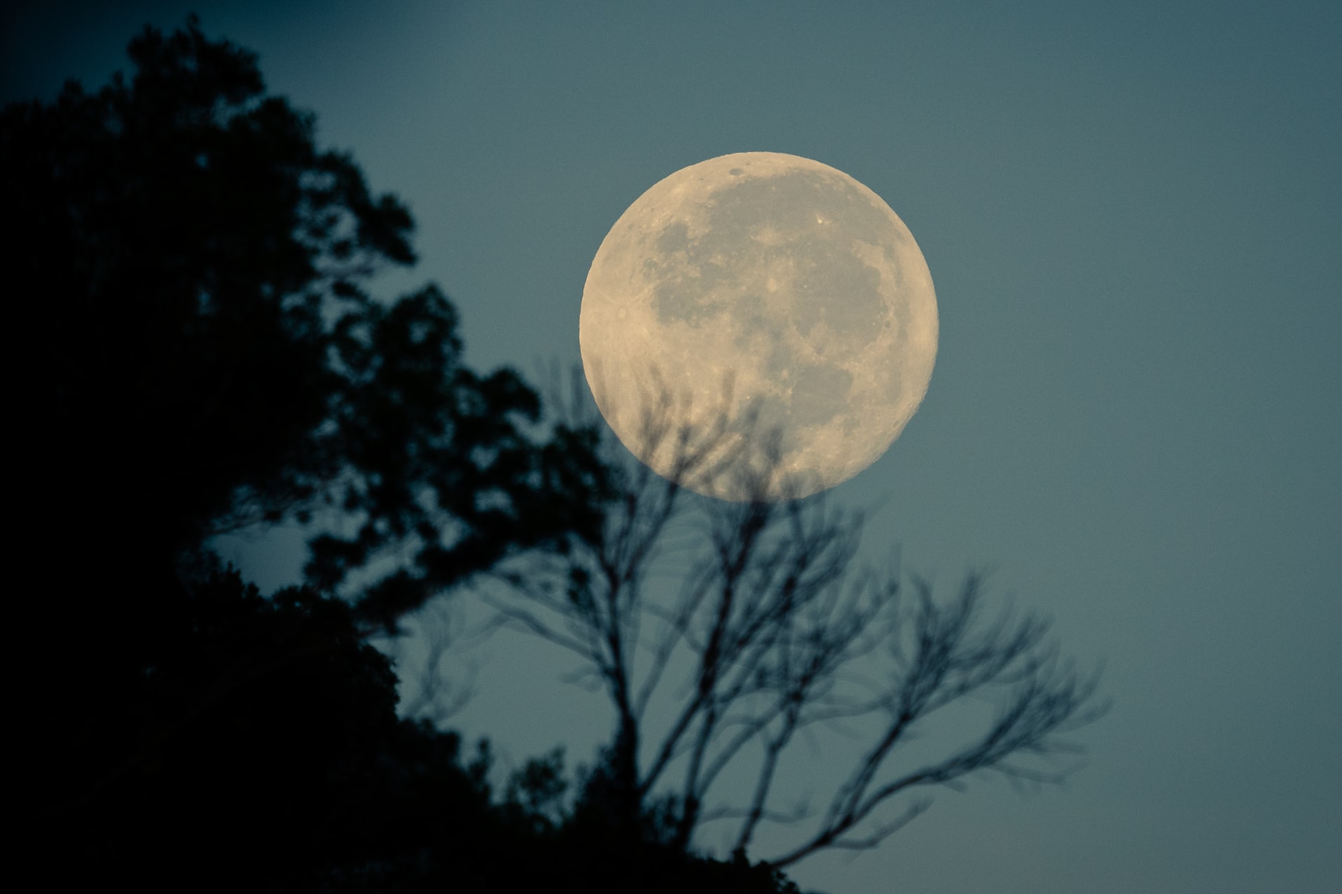 Luna llena del lobo, la primera luna llena de 2022, se verá esta noche