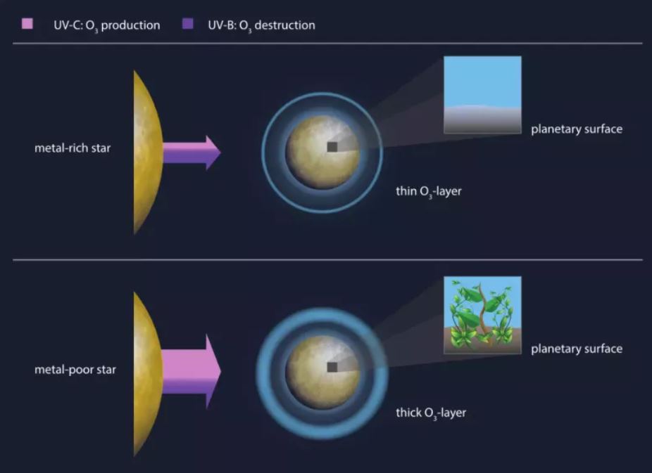 Un diagrama de los investigadores que muestra cómo la metalicidad de las estrellas puede afectar la formación de ozono y, por lo tanto, la existencia de vida en los planetas en órbita
