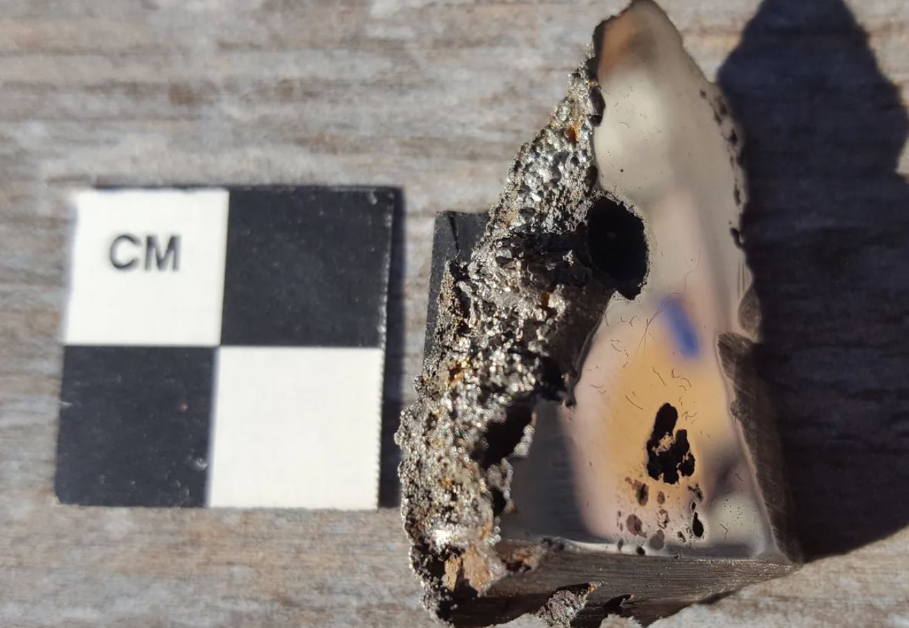 Una muestra del meteorito El Ali que se descubrió oficialmente en Somalia en 2020