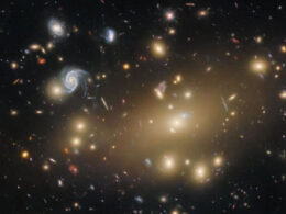 ¿Puede la materia oscura estar bajo la influencia de una misteriosa "quinta fuerza"?